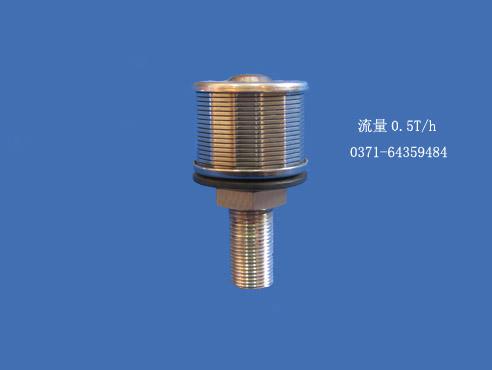 0.5T/h不锈钢滤头