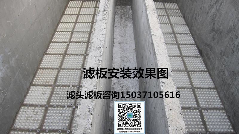 99er6久久这里就有精品