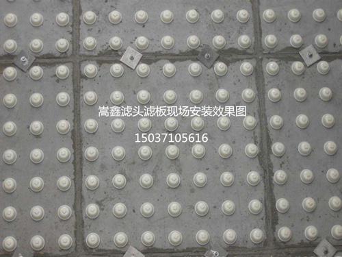 滤头滤板安装效果 滤头滤板安装效果