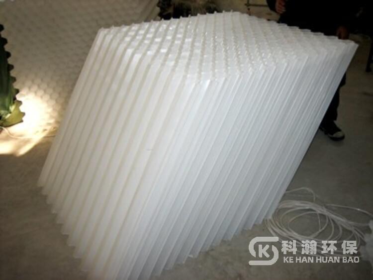 1667092035214587.jpg 1599028042027228800-0.jpg